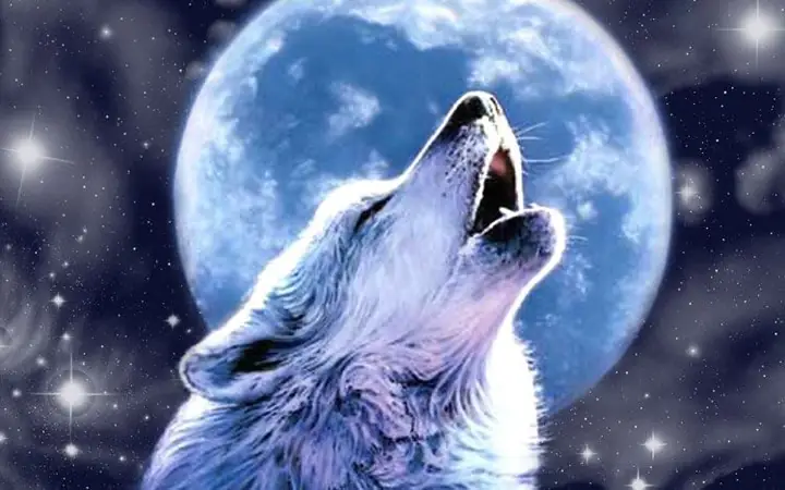 Các Ứng Dụng Và Lợi Ích Của Ảnh Chó Sói 3d Đẹp Trong Thiết Kế Đồ Họa Và Trang Trí Nội Thất?