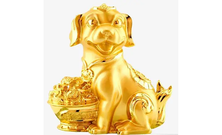 Ảnh Con Chó Mặt Ngu