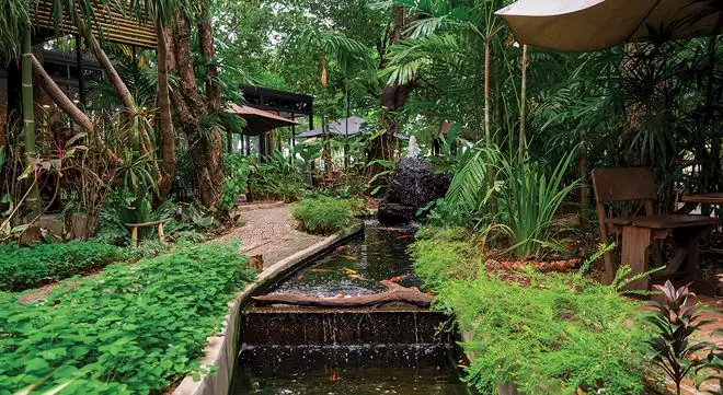 Ao Cá Trong Vườn Ao Cá Trong Vườn