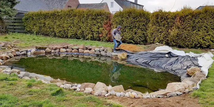 Ao Cá Trong Vườn: Khi Nào Nên Làm, Khi Nào Nên Tránh? Ao Cá Trong Vườn: Khi Nào Nên Làm, Khi Nào Nên Tránh?