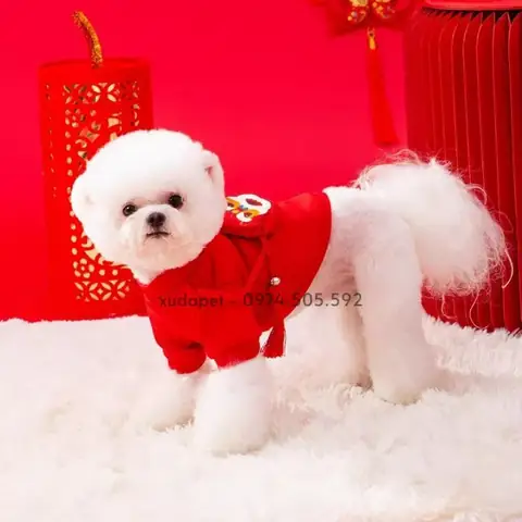 Áo Tết Cho Chó Mèo Có Túi Lân Lì Xì May Mắn - Sp007928