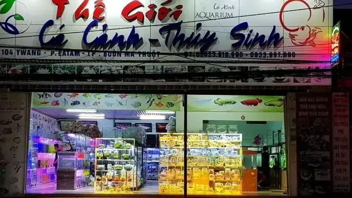 Cửa Hàng Kết Hợp Dịch Vụ Chăm Sóc