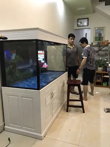 Bán Bể Cá Cảnh Cũ Tại Hải Phòng