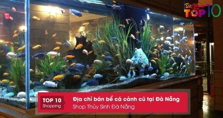 Shop Thủy Sinh Đà Nẵng