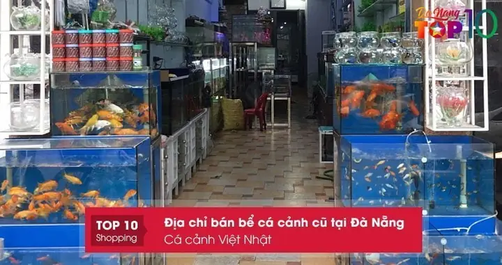 Cá Cảnh Việt Nhật