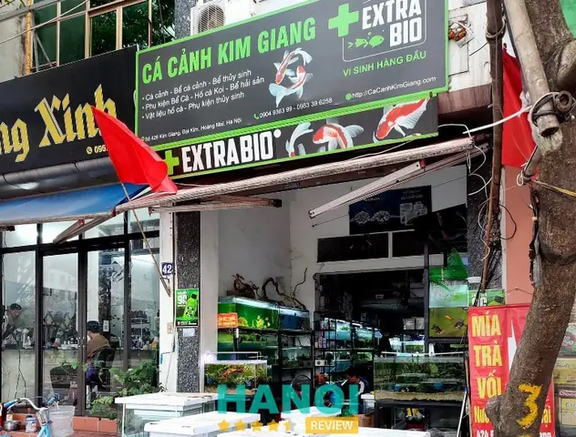 Bán Bể Cá Cảnh Ở Bắc Giang: Top 5 Cửa Hàng Uy Tín Nhất