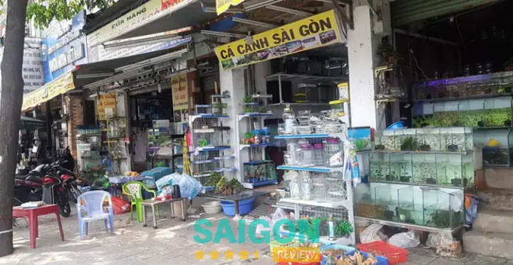 Cá Cảnh Sài Gòn