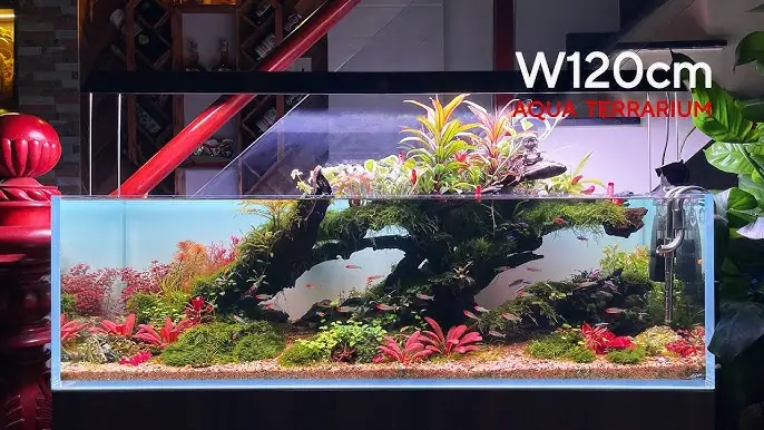 Bán Bể Cá Thủy Sinh: Hướng Dẫn Toàn Diện Cho Người Mới Bắt Đầu Bán Bể Cá Thủy Sinh: Hướng Dẫn Toàn Diện Cho Người Mới Bắt Đầu