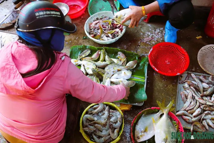 Cấp Cứu Tối Khẩn Ca Bệnh Hôn Mê Sâu Sau 1 Giờ Ăn Cá Nóc