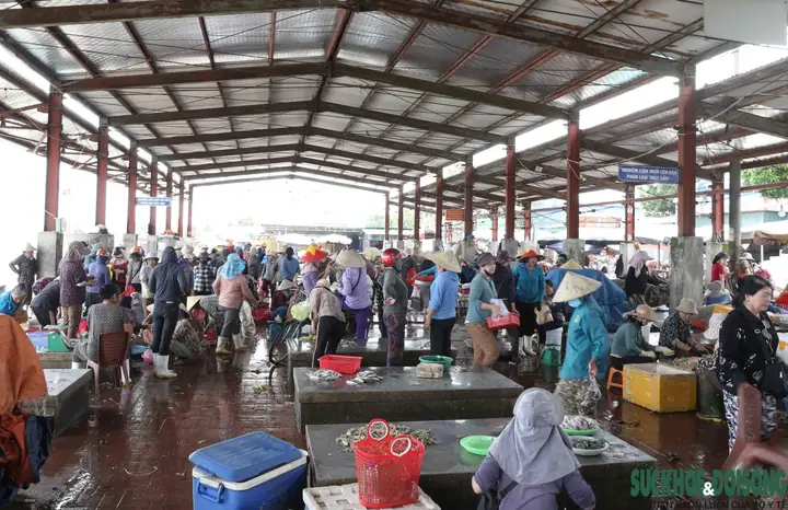 Cấp Cứu Tối Khẩn Ca Bệnh Hôn Mê Sâu Sau 1 Giờ Ăn Cá Nóc