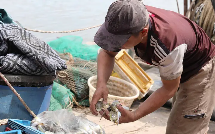 Cấp Cứu Tối Khẩn Ca Bệnh Hôn Mê Sâu Sau 1 Giờ Ăn Cá Nóc