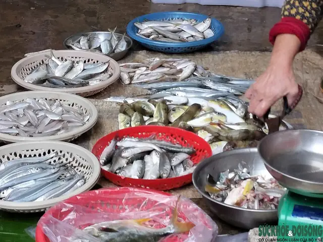 Cấp Cứu Tối Khẩn Ca Bệnh Hôn Mê Sâu Sau 1 Giờ Ăn Cá Nóc