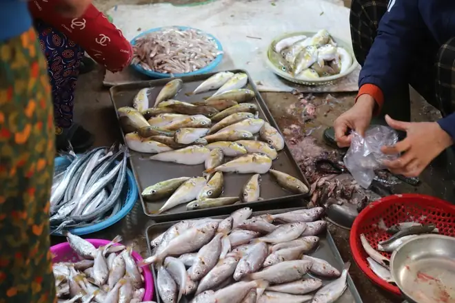 Cấp Cứu Tối Khẩn Ca Bệnh Hôn Mê Sâu Sau 1 Giờ Ăn Cá Nóc