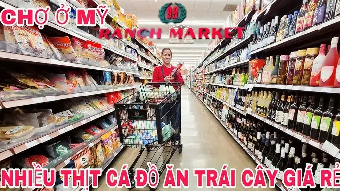 Hướng Dẫn Chi Tiết Cách Mua Và Chăm Sóc Cá Ali Thái Tại Hà Nội