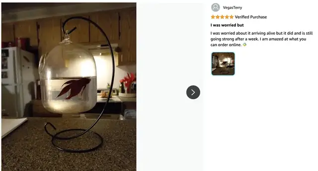 Cá Kìm Biển: Đặc Điểm, Tập Tính Và Môi Trường Sống