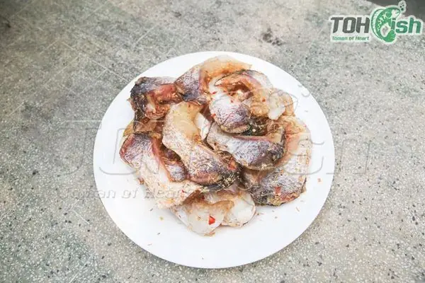 Vây Cá Lóc Bông - Món Ngon Bổ Dưỡng Từ Cá Sạch Toh Fish