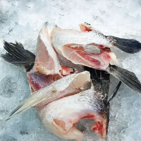 Vây Cá Lóc Bông - Món Ngon Bổ Dưỡng Từ Cá Sạch Toh Fish Vây Cá Lóc Bông - Món Ngon Bổ Dưỡng Từ Cá Sạch Toh Fish