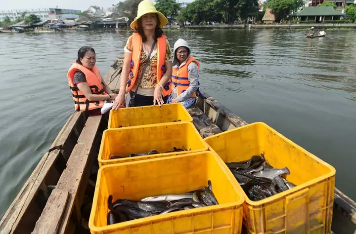 Chích Điện Cá Phóng Sinh Mang Tới Cổng Chùa Bán Lại! Chích Điện Cá Phóng Sinh Mang Tới Cổng Chùa Bán Lại!