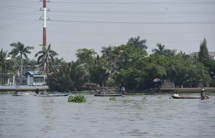 Chích Điện Cá Phóng Sinh Mang Tới Cổng Chùa Bán Lại! Chích Điện Cá Phóng Sinh Mang Tới Cổng Chùa Bán Lại!