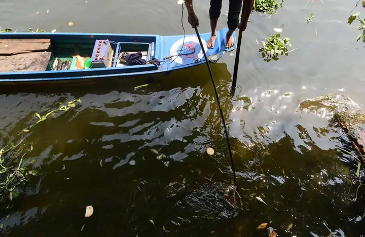 Chích Điện Cá Phóng Sinh Mang Tới Cổng Chùa Bán Lại! Chích Điện Cá Phóng Sinh Mang Tới Cổng Chùa Bán Lại!