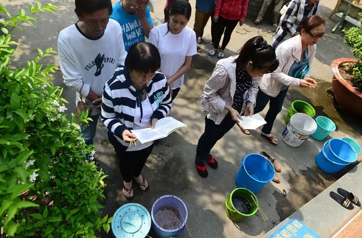 Chích Điện Cá Phóng Sinh Mang Tới Cổng Chùa Bán Lại! Chích Điện Cá Phóng Sinh Mang Tới Cổng Chùa Bán Lại!