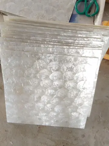 Vỏ Con Bóng Kiếng Giá Rẻ Tại Bình Dương