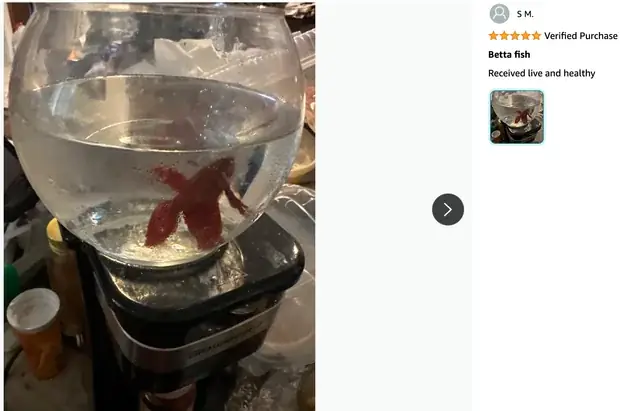 Nước Biển Nuôi Cá: Hướng Dẫn Chọn Mua Và Sử Dụng Đúng Cách