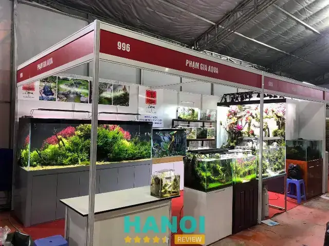 Kinh Nghiệm Mua Bán Chân Hồ Cá Cũ Chất Lượng, Tiết Kiệm ...