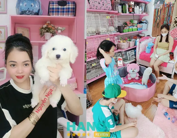 Shop Chó Cảnh Nguyễn Nga Shop Chó Cảnh Nguyễn Nga