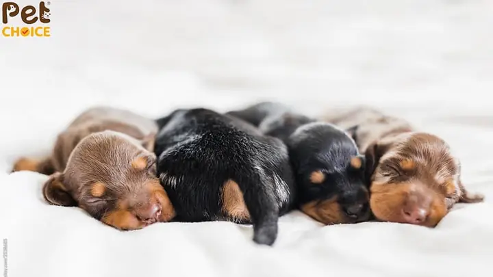 Phân Loại Theo Nguồn Gốc Và Mức Giá Phân Loại Theo Nguồn Gốc Và Mức Giá