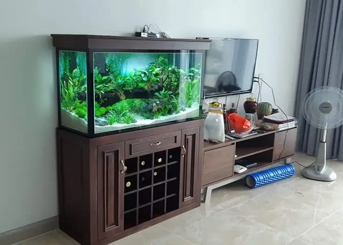 Cách Chọn Bàn Để Hồ Cá An Toàn Và Đúng Kỹ Thuật?