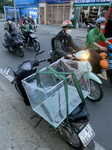 Hồ Kiếng Nuôi Cá Giá Rẻ - Kèm Bảng Báo Giá Chi Tiết. - Shop Thủy ...