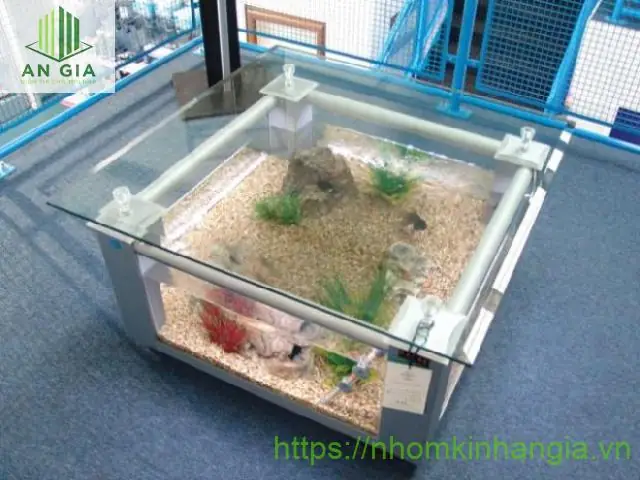 Mẫu Bàn Kính Bể Cá Đẹp Nhất Phù Hợp Với Mọi Không Gian