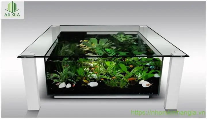 Mẫu Bàn Kính Bể Cá Đẹp Nhất Phù Hợp Với Mọi Không Gian