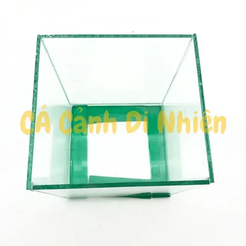Hồ Bể Kính Mini Để Bàn Nuôi Cá Betta Dày 3 Li Size 14x 12x11 Cm