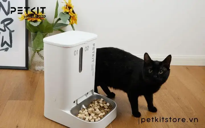 Máy Cho Thú Cưng Ăn Petkit Là Gì? Máy Cho Thú Cưng Ăn Petkit Là Gì?