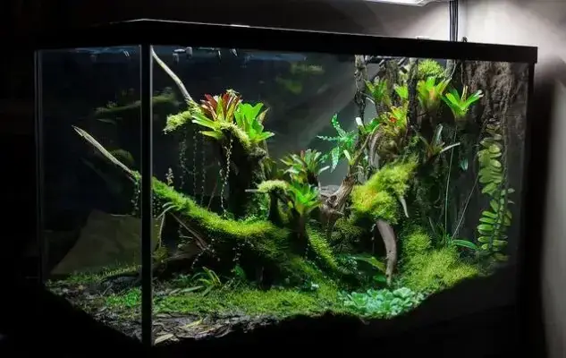 Bán Sỉ Cá Bảy Màu: Khám Phá Nguồn Hàng Uy Tín - Aquatech