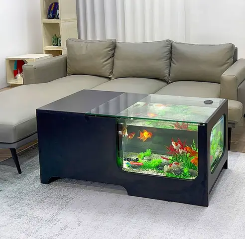 Bàn Trà Bể Cá Là Gì?