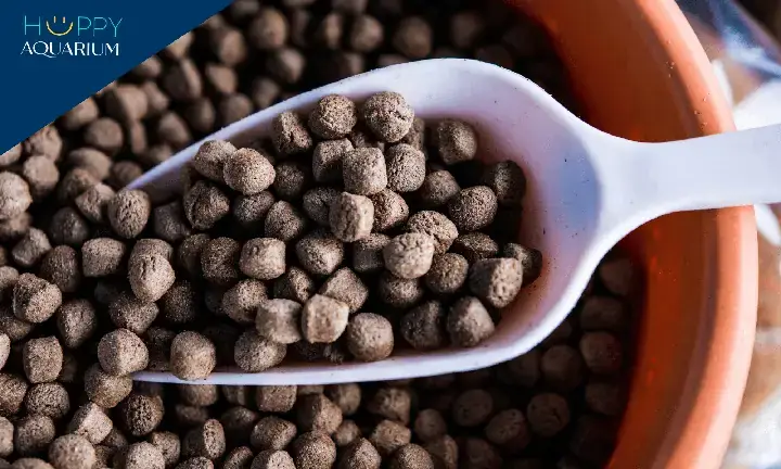 Các Loại Thức Ăn Cá Lóc Phổ Biến Và Đặc Điểm Các Loại Thức Ăn Cá Lóc Phổ Biến Và Đặc Điểm