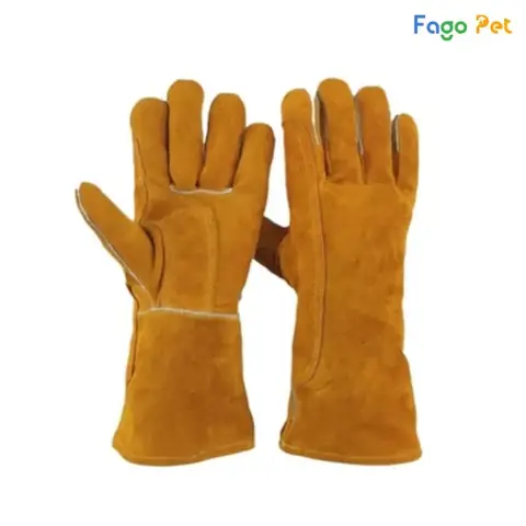 Công Dụng Và Ưu Điểm Của Găng Tay Huấn Luyện Chó Công Dụng Và Ưu Điểm Của Găng Tay Huấn Luyện Chó