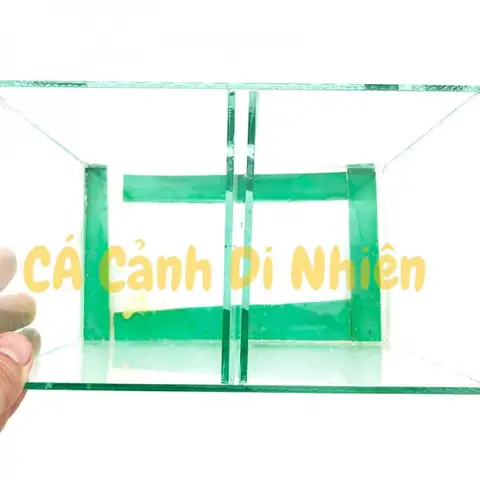 Hồ Bể Kính Mini Đôi 2 Ngăn Để Bàn Nuôi Cá Betta Size 14x12x20 Cm Hồ Bể Kính Mini Đôi 2 Ngăn Để Bàn Nuôi Cá Betta Size 14x12x20 Cm
