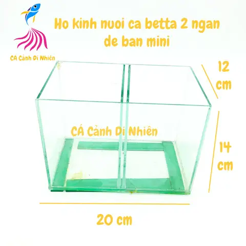 Hồ Bể Kính Mini Đôi 2 Ngăn Để Bàn Nuôi Cá Betta Size 14x12x20 Cm Hồ Bể Kính Mini Đôi 2 Ngăn Để Bàn Nuôi Cá Betta Size 14x12x20 Cm