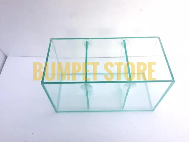 Bể Cá Betta 3 Ngăn: Hướng Dẫn Toàn Tập Từ Setup Đến Chăm Sóc