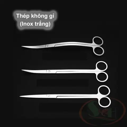 Bể Cá Bị Sán Trắng: Nguyên Nhân, Dấu Hiệu Nhận Biết & Cách Xử Lý Hiệu Quả