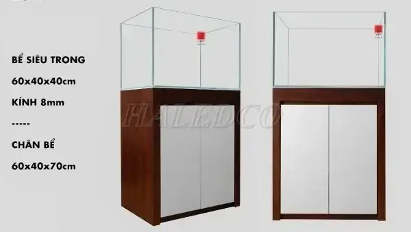 Tại Sao Bể Cá Cảnh 60x40x40 Lại Phổ Biến?