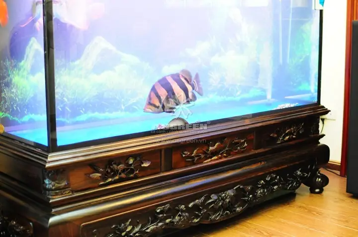 Bể Cá Cảnh Cao Cấp: Toàn Cảnh Về Thiết Kế, Vật Liệu Và Xu Hướng