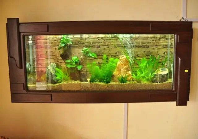 Bể Cá Cảnh Treo Tường Tại Hà Nội: 10+ Mẫu Độc Đáo, Ưu Nhược Điểm & Hướng Dẫn Lựa Chọn