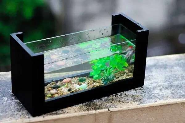 - Bể Cá Để Bàn: