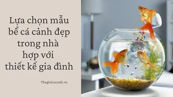 Lựa Chọn Mẫu Bể Cá Cảnh Đẹp Trong Nhà Hợp Với Thiết Kế Gia Đình