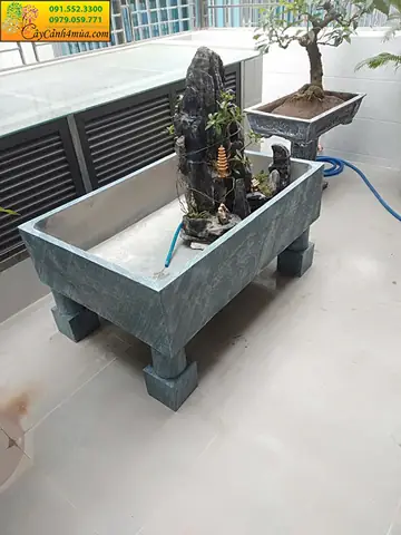 Mua Bể Cá Xi Măng Tại Hà Nội Mua Bể Cá Xi Măng Tại Hà Nội